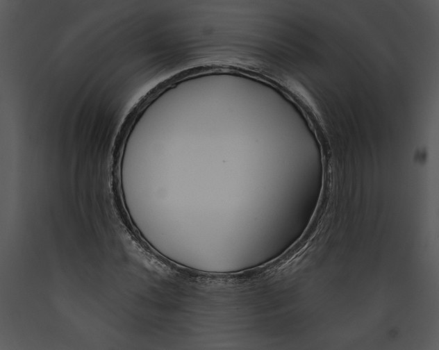 X0000089661020200707191644