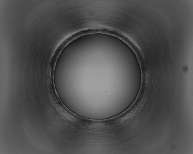 X0000089661021200707191644
