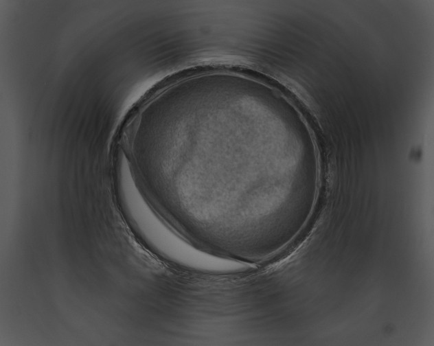 X0000089661022200707191644