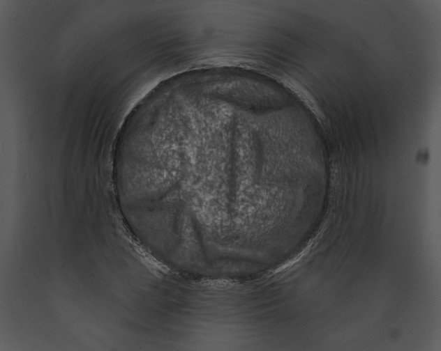 X0000089661023200707191644