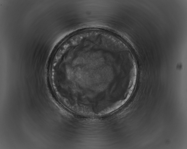 X0000089661024200707191644