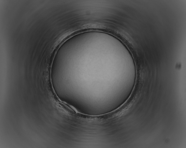 X0000089661025200707191644