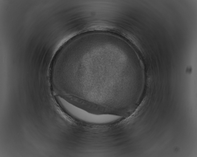 X0000089661026200707191644