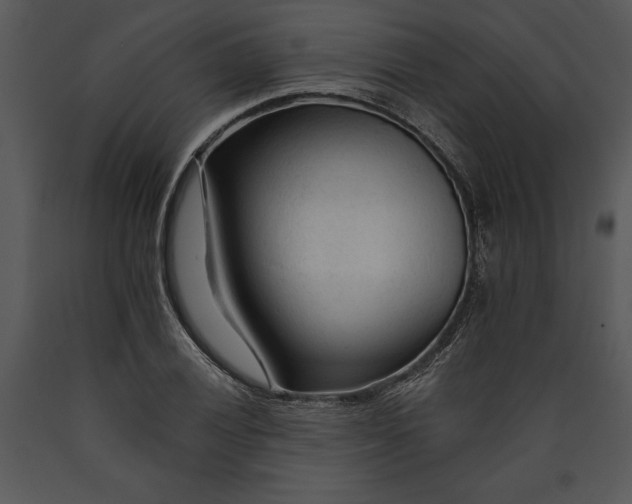 X0000089661028200707191644