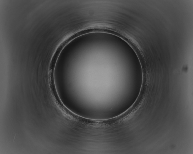 X0000089661029200707191644