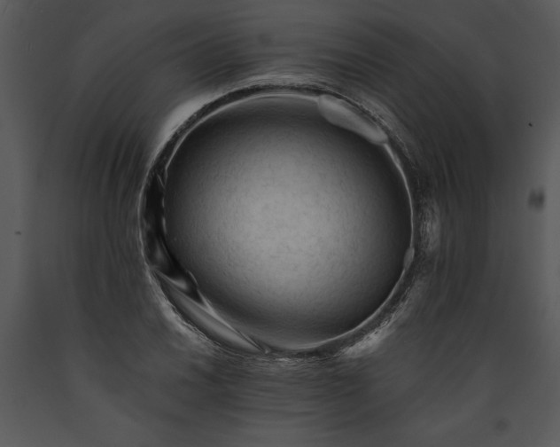 X0000089661030200707191644