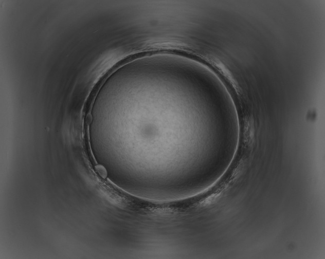 X0000089661031200707191644