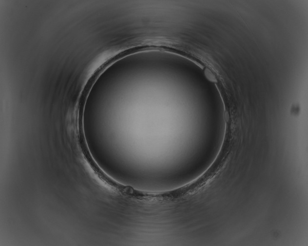 X0000089661032200707191644