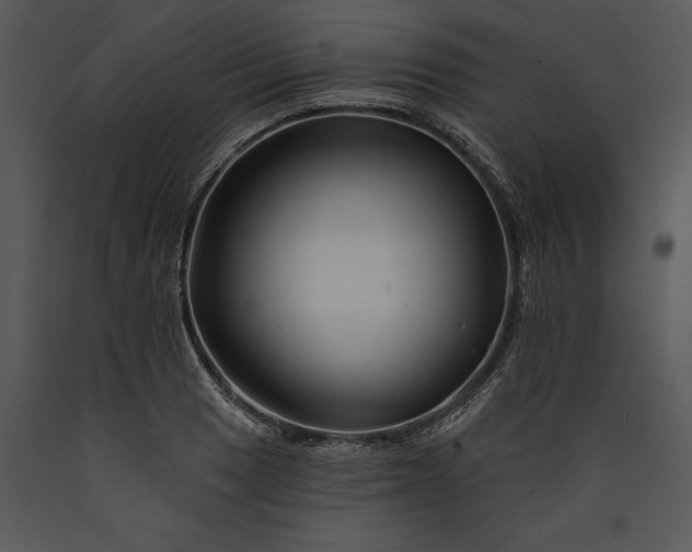 X0000089661033200707191644
