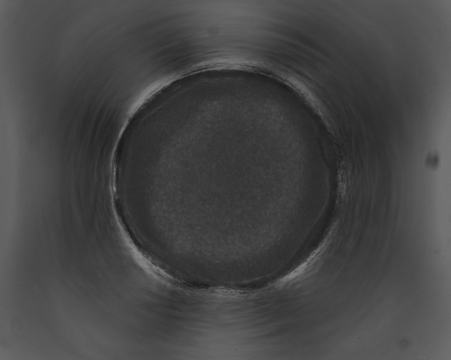 X0000089661034200707191644
