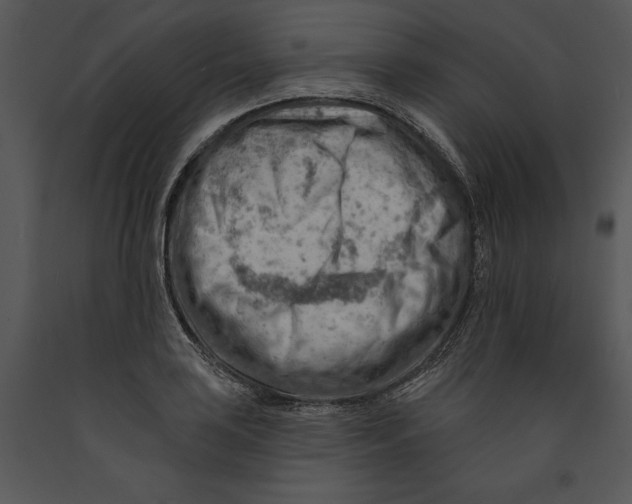 X0000089661035200707191644