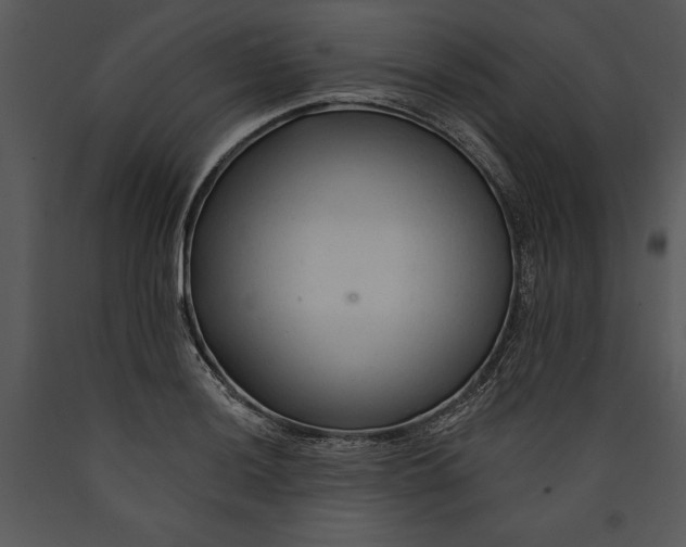 X0000089661036200707191644