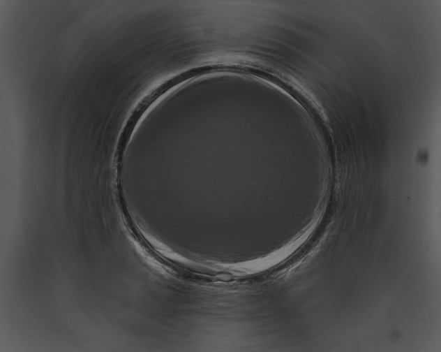X0000089661037200707191644