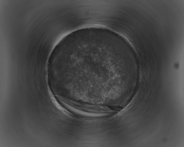 X0000089661038200707191644