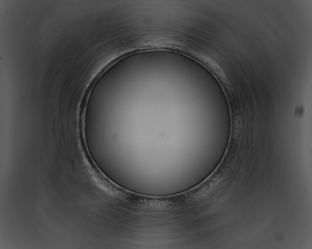 X0000089661039200707191644