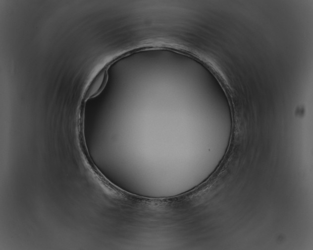 X0000089661040200707191644