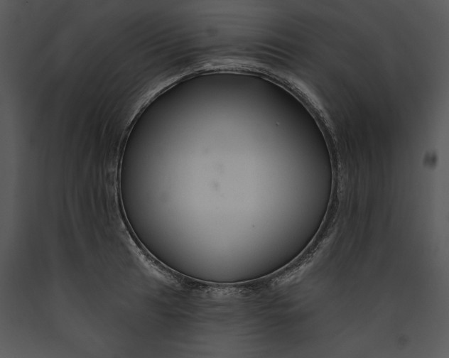 X0000089661041200707191644