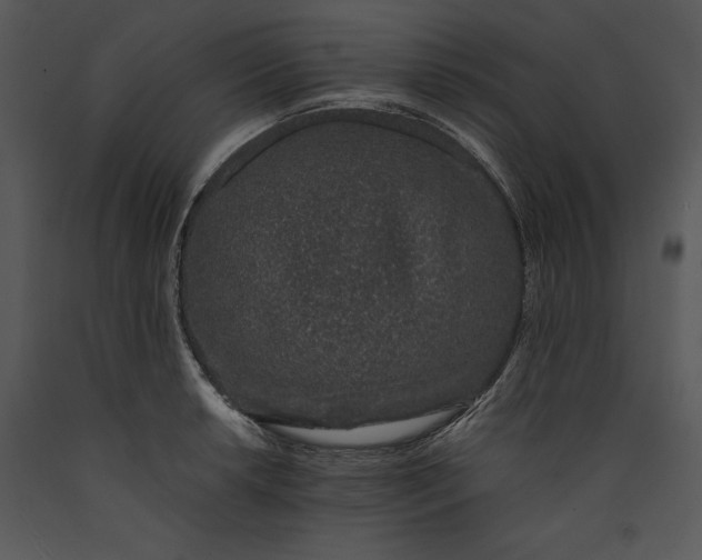 X0000089661042200707191644