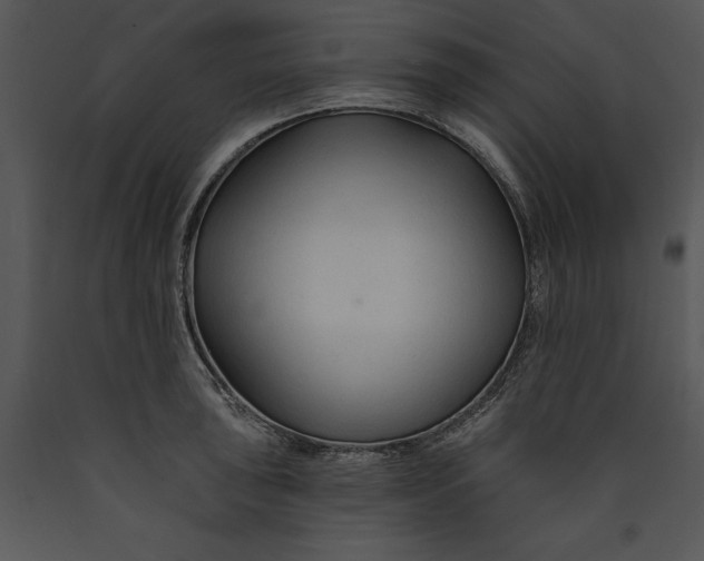 X0000089661043200707191644