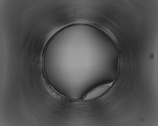X0000089661044200707191644