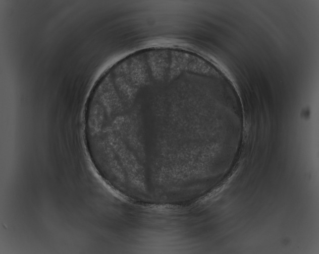 X0000089661045200707191644