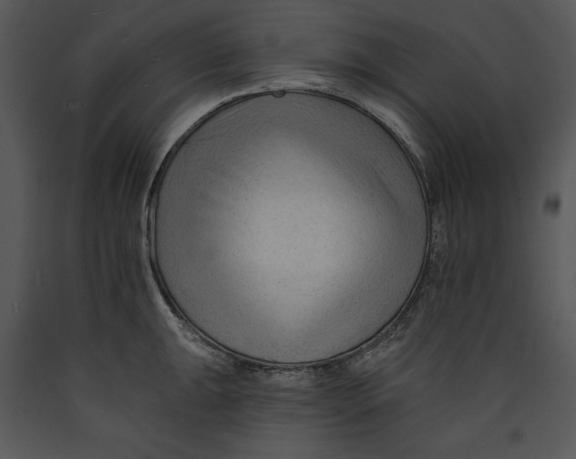 X0000089661047200707191644
