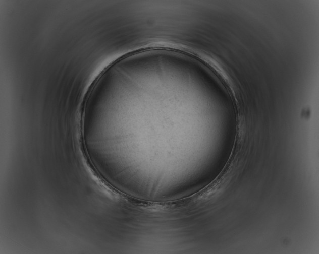 X0000089661048200707191644