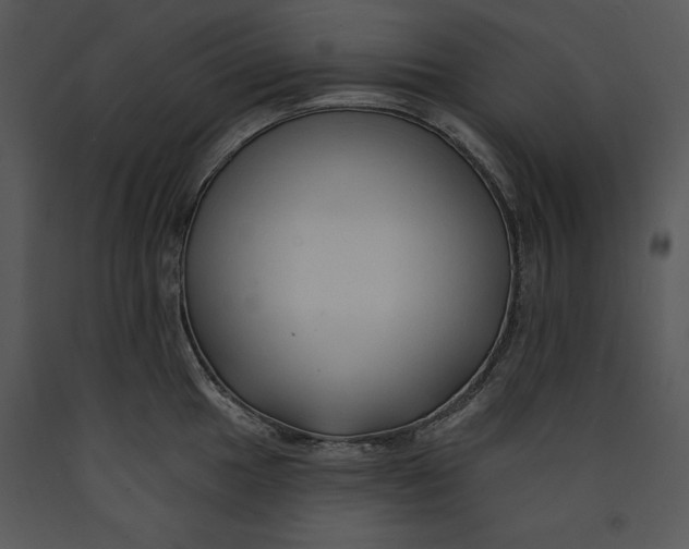 X0000089661049200707191644