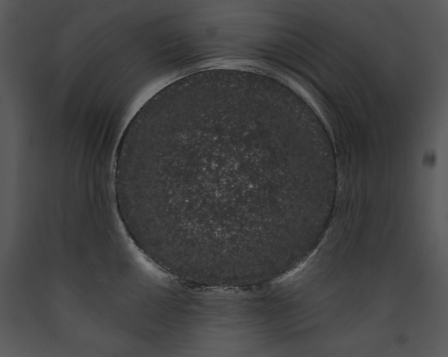 X0000089661050200707191644