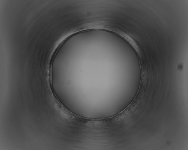 X0000089661051200707191644