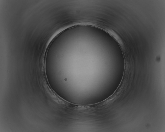 X0000089661052200707191644