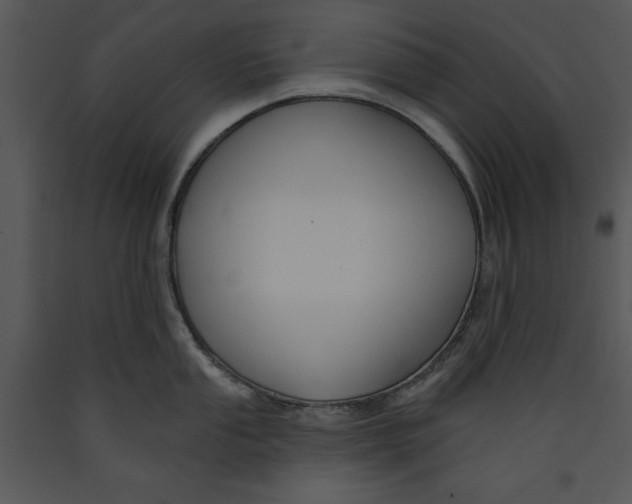 X0000089661053200707191644