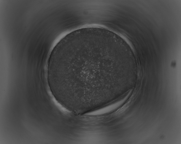 X0000089661054200707191644