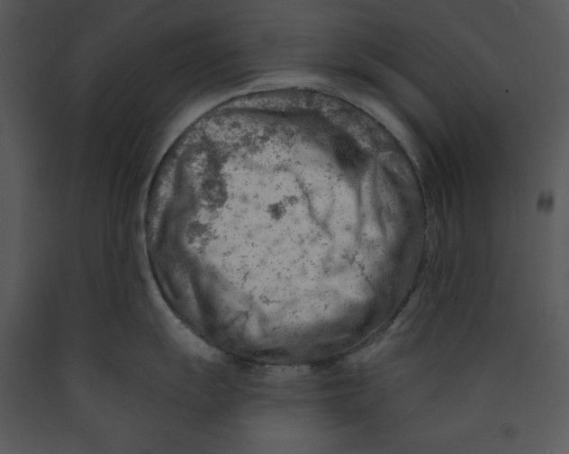 X0000089661055200707191644