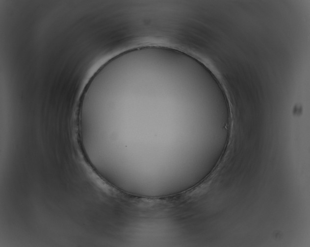 X0000089661056200707191644