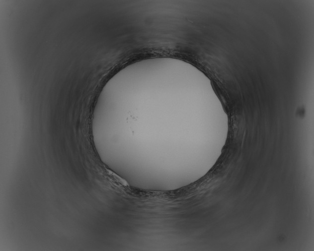 X0000089661057200707191643