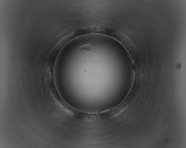X0000089661058200707191643