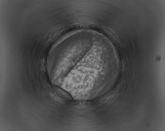 X0000089661060200707191643
