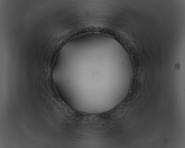 X0000089661061200707191643