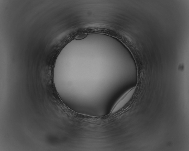X0000089661062200707191643