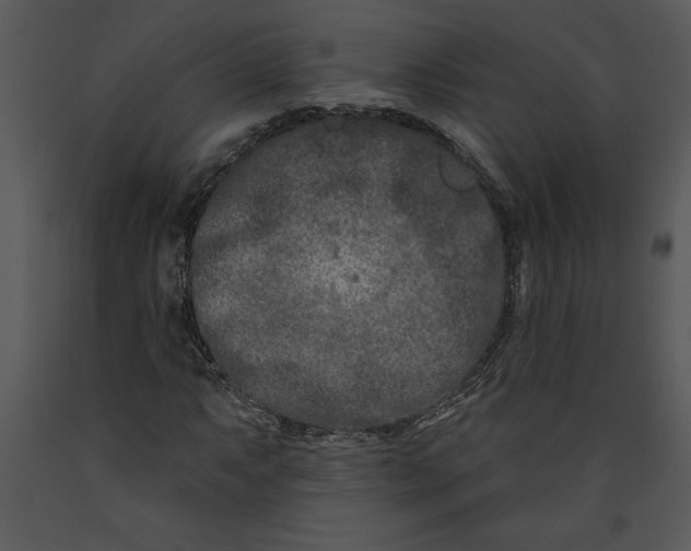 X0000089661063200707191643