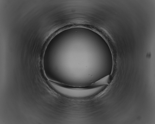 X0000089661065200707191643