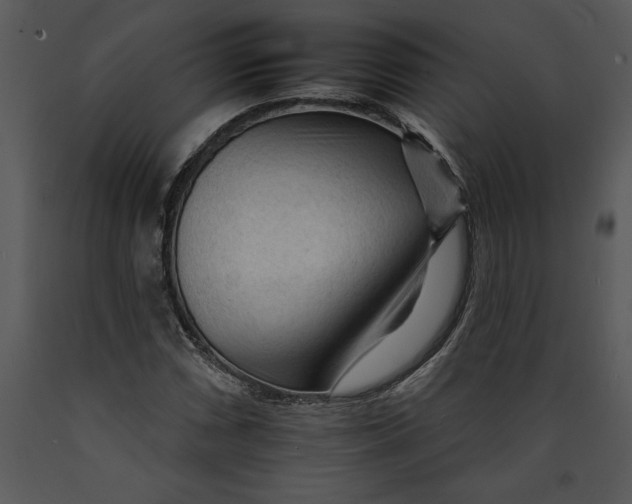 X0000089661066200707191643