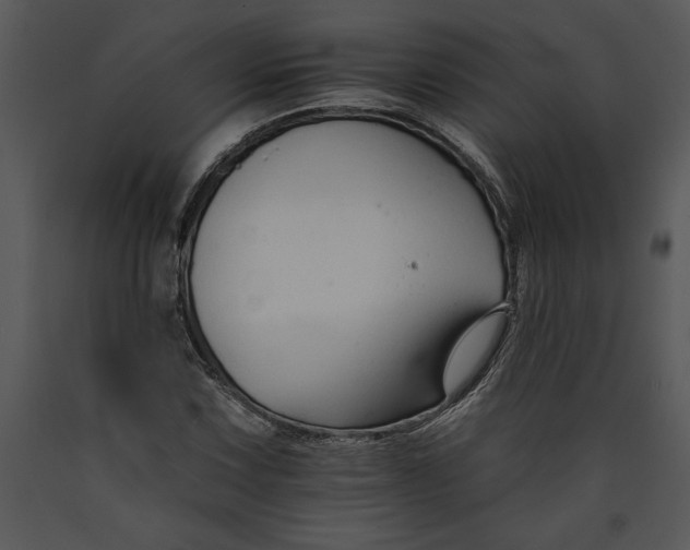 X0000089661067200707191643