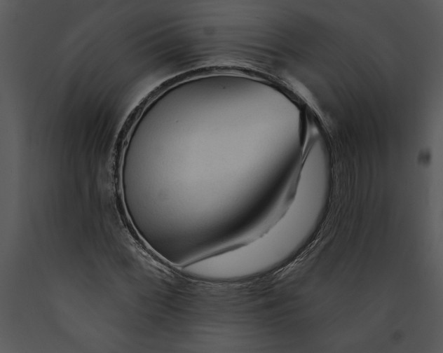 X0000089661068200707191643