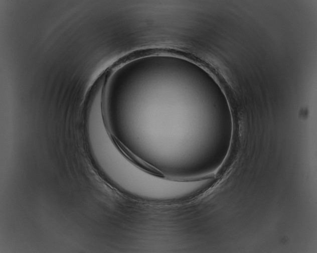 X0000089661069200707191643