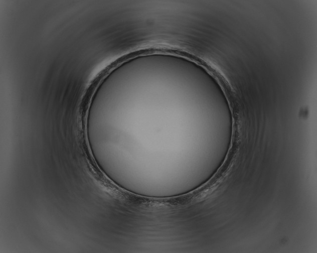 X0000089661070200707191643