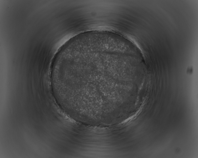 X0000089661071200707191643