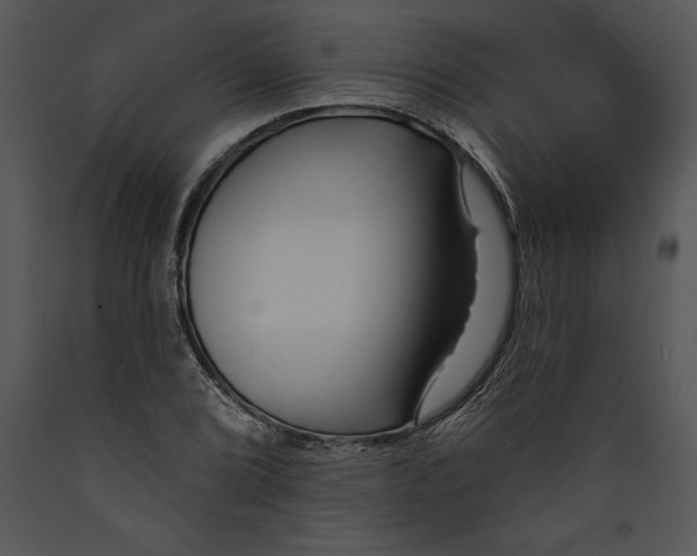 X0000089661072200707191643