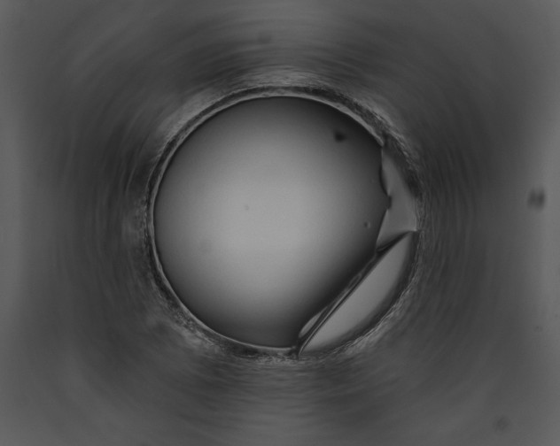 X0000089661073200707191643